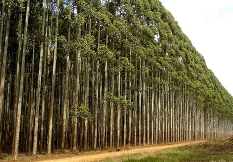 Tour Di 3 Giorni Di Hluhluwe E Isimangaliso Wetlands Pk Da Durban