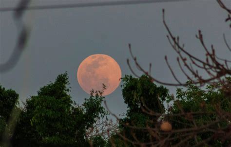 Junio Recibe Su Luna Llena Luna De Fresa Con Acento