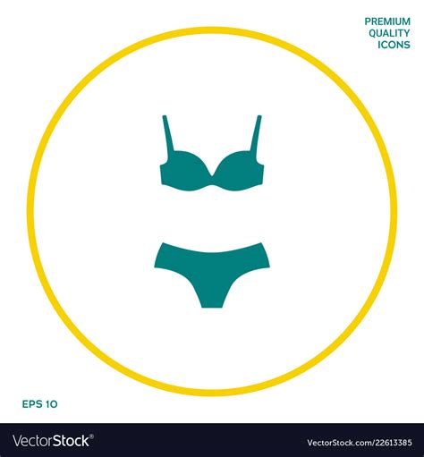 Set Of Lingerie Or Swimsuit Two Piece Bikini Vector Image