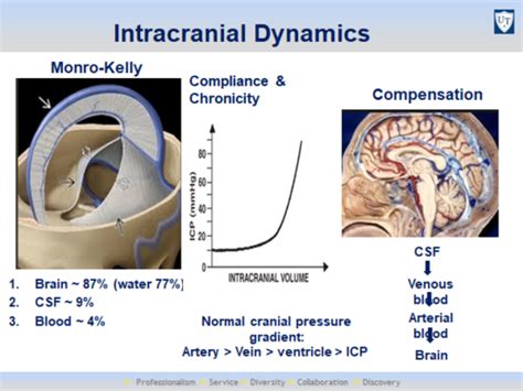 Intracranial Pressure Icp Flashcards Quizlet