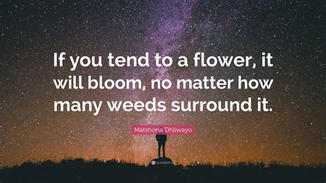 Matshona Dhliwayo Quote If You Tend To A Flower It Will Bloom No