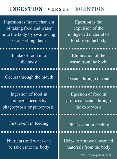 Difference Between Ingestion and Egestion | Definition, Types, Mechanism