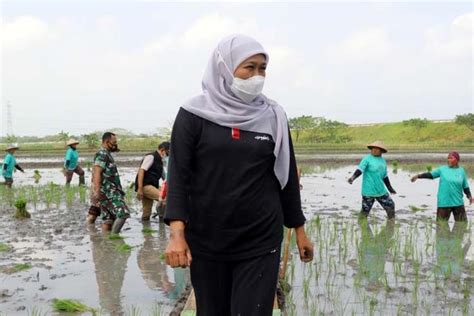 Sensus Pertanian 2023 Gubernur Khofifah Optimis Hasil Data Akurat Jadi