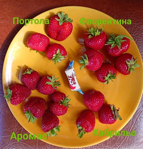 Клубника все лето, сорта постоянного плодоношения купить в интернет ...