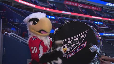 Events, giveaways planned for Capitals 50th anniversary season | wusa9.com