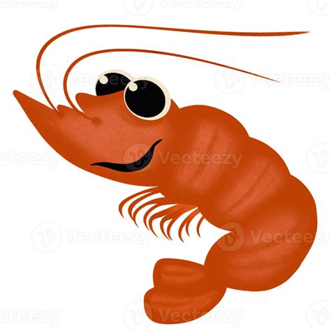 cute shrimp cartoon 24776251 PNG