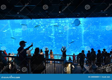 SEA Aquarium at Sentosa Island Singapore Editorial Photo - Image of ...