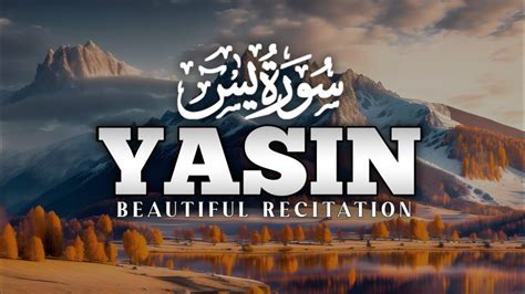 Surah Yasin Yaseen Ep 131 Full With Arabic Quran Recitation یس سورہ