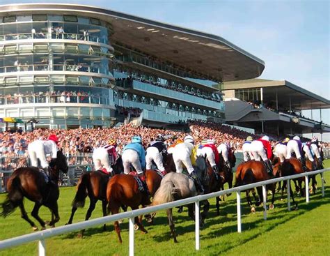 Galway Races | Hotels Near Galway Racecourse | The Hardiman