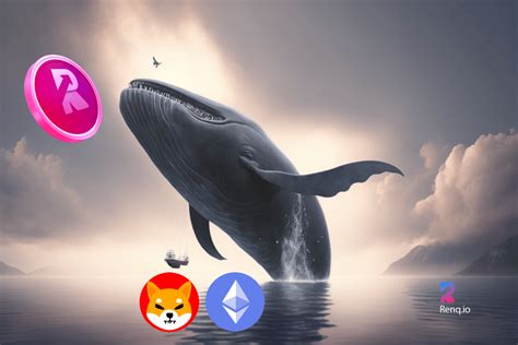 Shiba Inu Shib And Renq Finance Renq See Huge Whale Accumulation