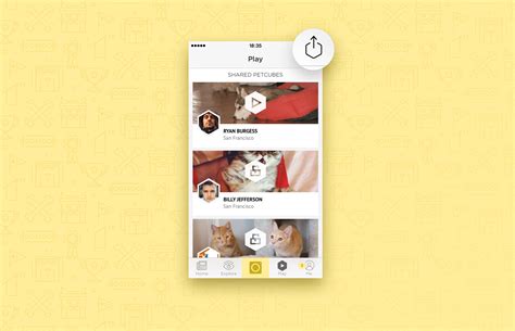 Petcube App Enables Real-Time Interaction With Shelter Pets