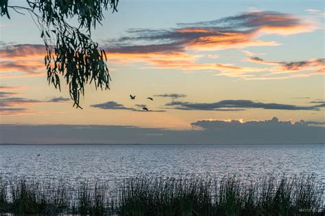 Lake Albert Sunset Meningie Peter Albion Flickr