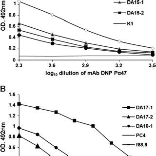 Mapping The Antigenic Sites Of The 15 Mer Peptides Using The SPOT Scan