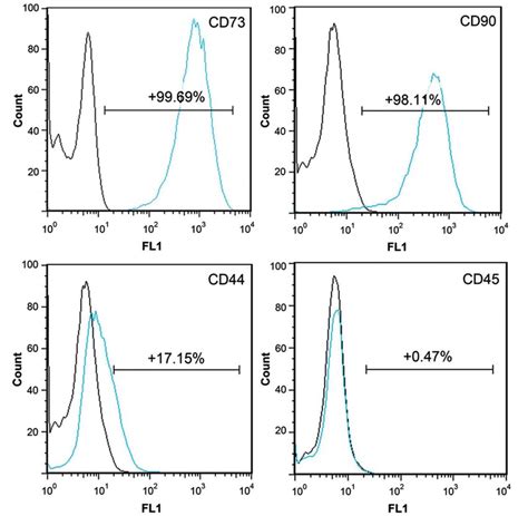 Flow Cytometric Analysis Of Cell Surface Marker Expression In