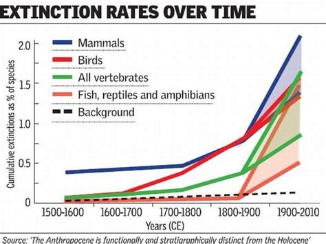 Animal Extinction Rate Graph - Animal Mania