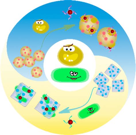 Shape Encoded Functional Hydrogel Pellets For Multiplexed Detection Of