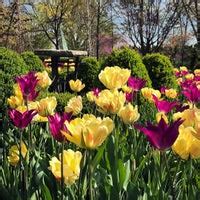 Thai Pavilion at Olbrich Botanical Gardens - Madison, WI