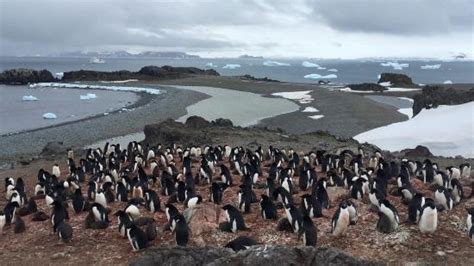 South Pole Pictures - Traveler Photos of South Pole, Antarctica ...