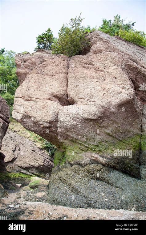 The Eroded Rock Formation In Hopewell Rocks Park Famous For Its