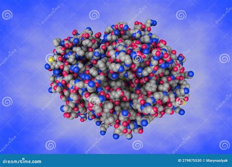 Human Mitochondrial Beta Ketoacyl Acp Synthase Space Filling Molecular