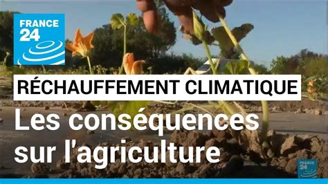 Les conséquences du réchauffement climatique sur l agriculture FRANCE