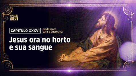 Medita Es Para A Quaresma Jesus Ora No Horto E Sua Sangue Youtube