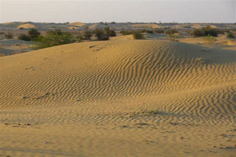 desert national park guide timings history visitor guide