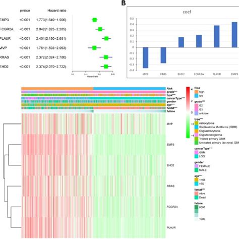 Identification Of The Gene Risk Signature By Lasso Regression