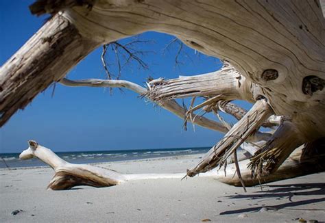 Little Talbot Island State Park | Florida State Parks