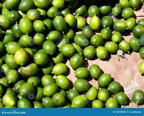 Fresh Limes for Sale stock photo. Image of tasty, cooked - 39078534