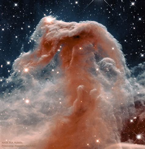 La nébuleuse à la Tête de Cheval dans l infrarouge par Hubble