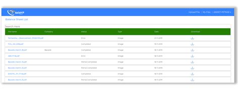 Balance Sheet Review