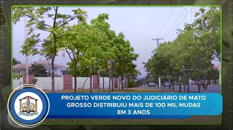 Projeto Verde Novo do Judiciário de Mato Grosso distribuiu mais de 100