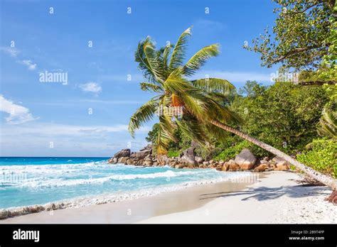 Seychelles Anse Georgette Beach Praslin Island Palm Vacation Paradise