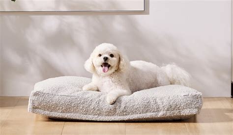 Best Dog Beds Of 2025