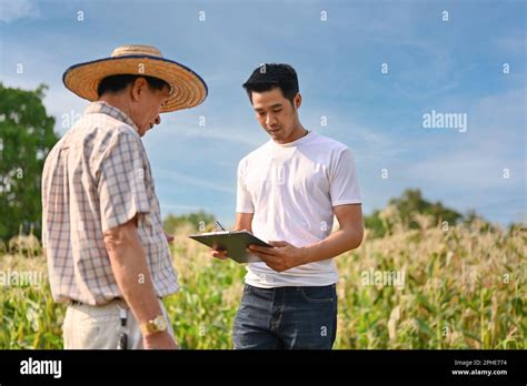 Professional Millennial Asian Male Corn Field Owner Talking And Working