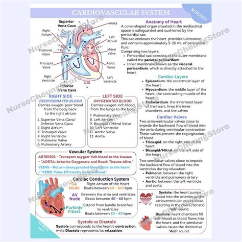 ATI TEAS 7 Science Comprehensive Study Guide By Nursecheung In Depth