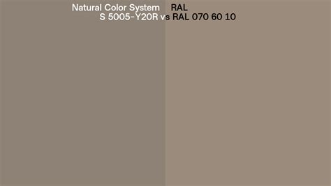 Natural Color System S 5005 Y20R Vs RAL RAL 070 60 10 Side By Side