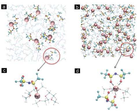 Elucidating Solvation Structures For Rational Design Of Multivalent