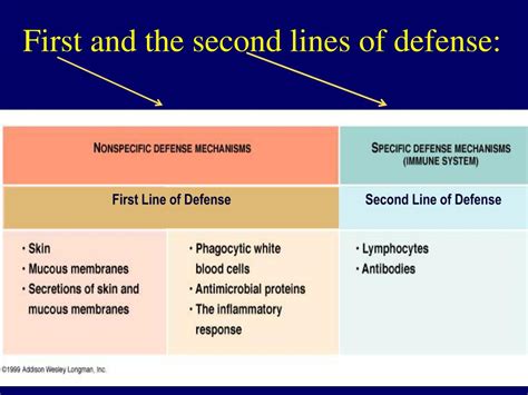 Ppt Natural Defense Mechanisms Powerpoint Presentation Free