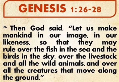 GENESIS 1 26 28 Birds In The Sky Genesis 1 Sea Fish