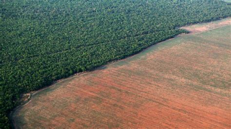 D A Mundial De La Naturaleza P Rdida De La Biodiversidad Idma