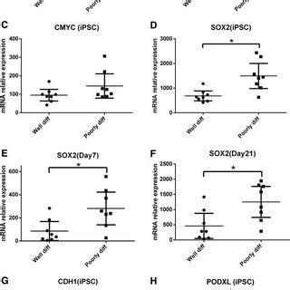 Mrna Expression Of Nephron Progenitor Markers In Well Differentiated