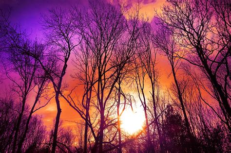 Purple Forest Nature Orange Pink Rainbow Red Sun Sunset Trees