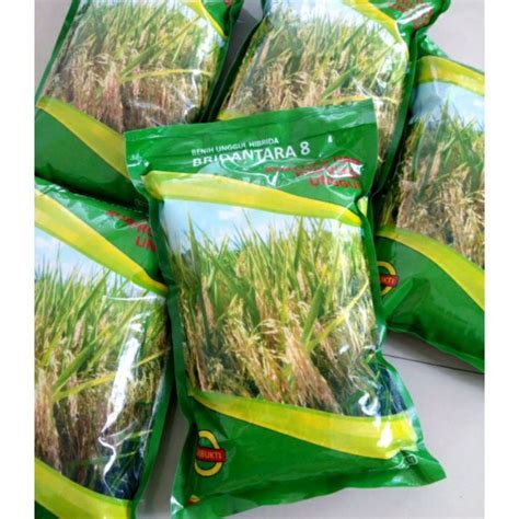 Jual Benih Padi Hibrida Bridantara 8 F1 Premium 1 Kg Shopee Indonesia