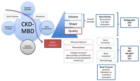 Minerals For Ckd at Marie Houston blog