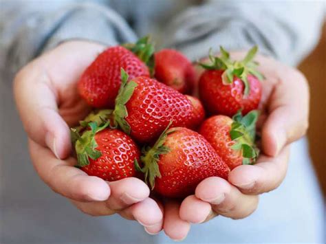 strawberries  nutrition facts  health benefits