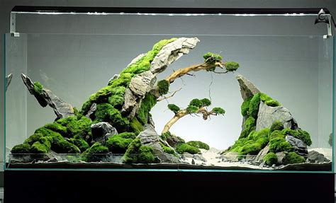 Aquarium Rocks Landscape at William Thome blog