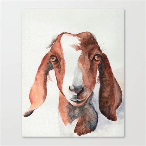 Boer Goat Watercolor Canvas Print by From the Carriage House | Goat ...