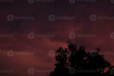 silhouette of tree with dark red sky background 31383230 Stock Photo at ...